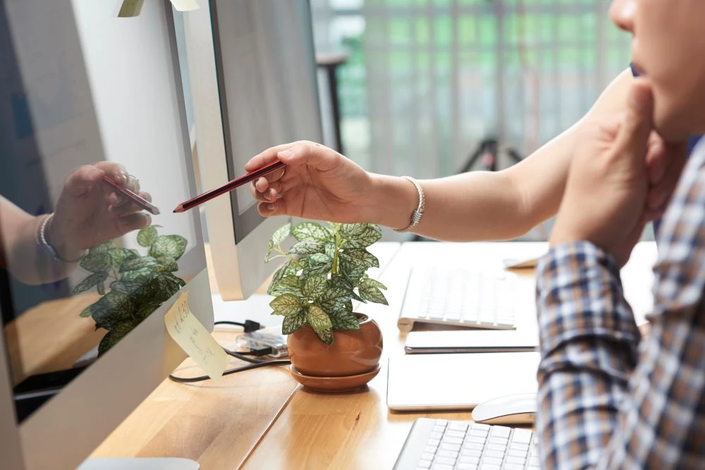 Two people sit at a desk with computers, one pointing at a monitor with a pen whilst the other observes. A potted plant and keyboards are on the desk.