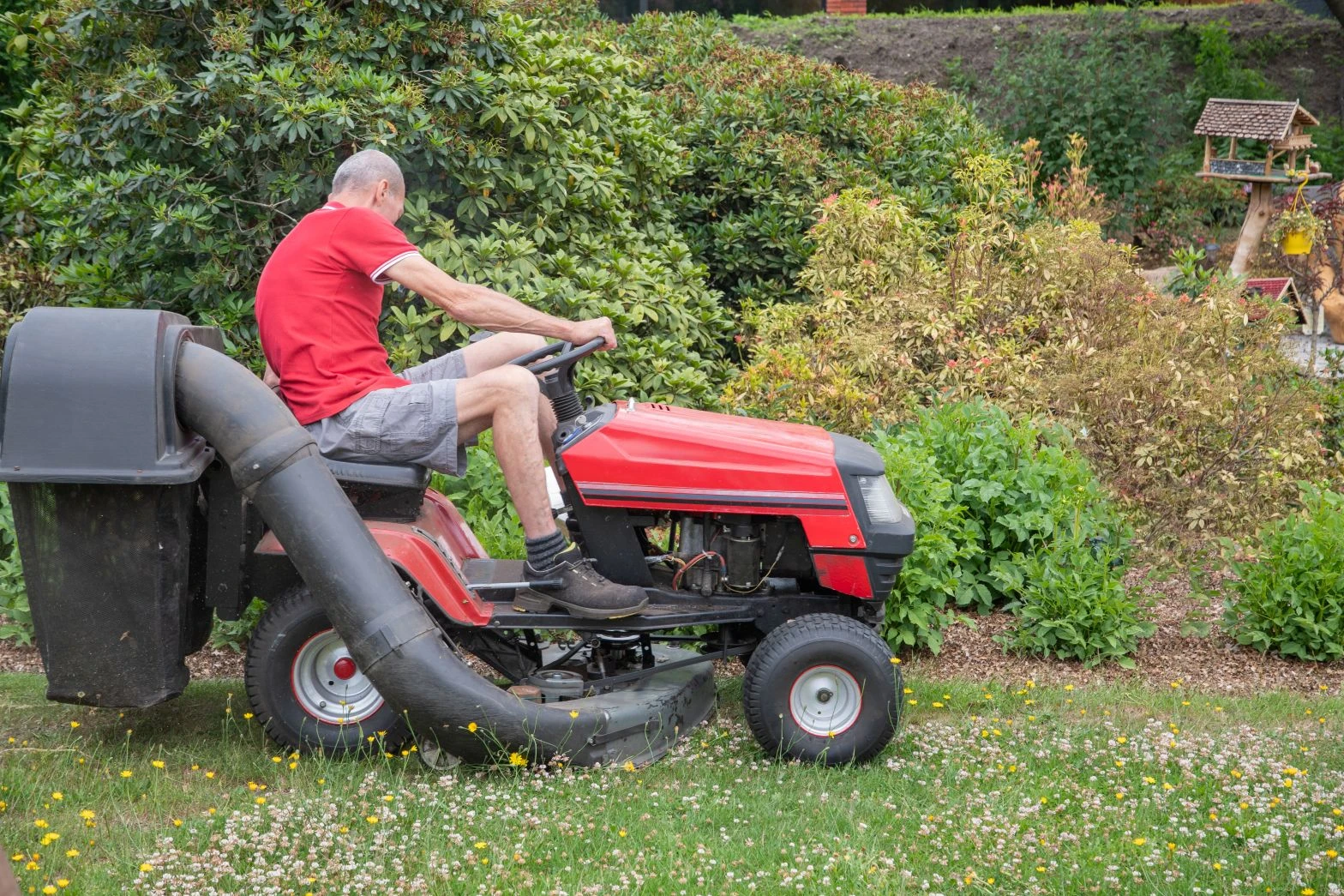 A man in a red shirt and grey shorts operates a red ride-on lawnmower on a grassy lawn near bushes and trees.