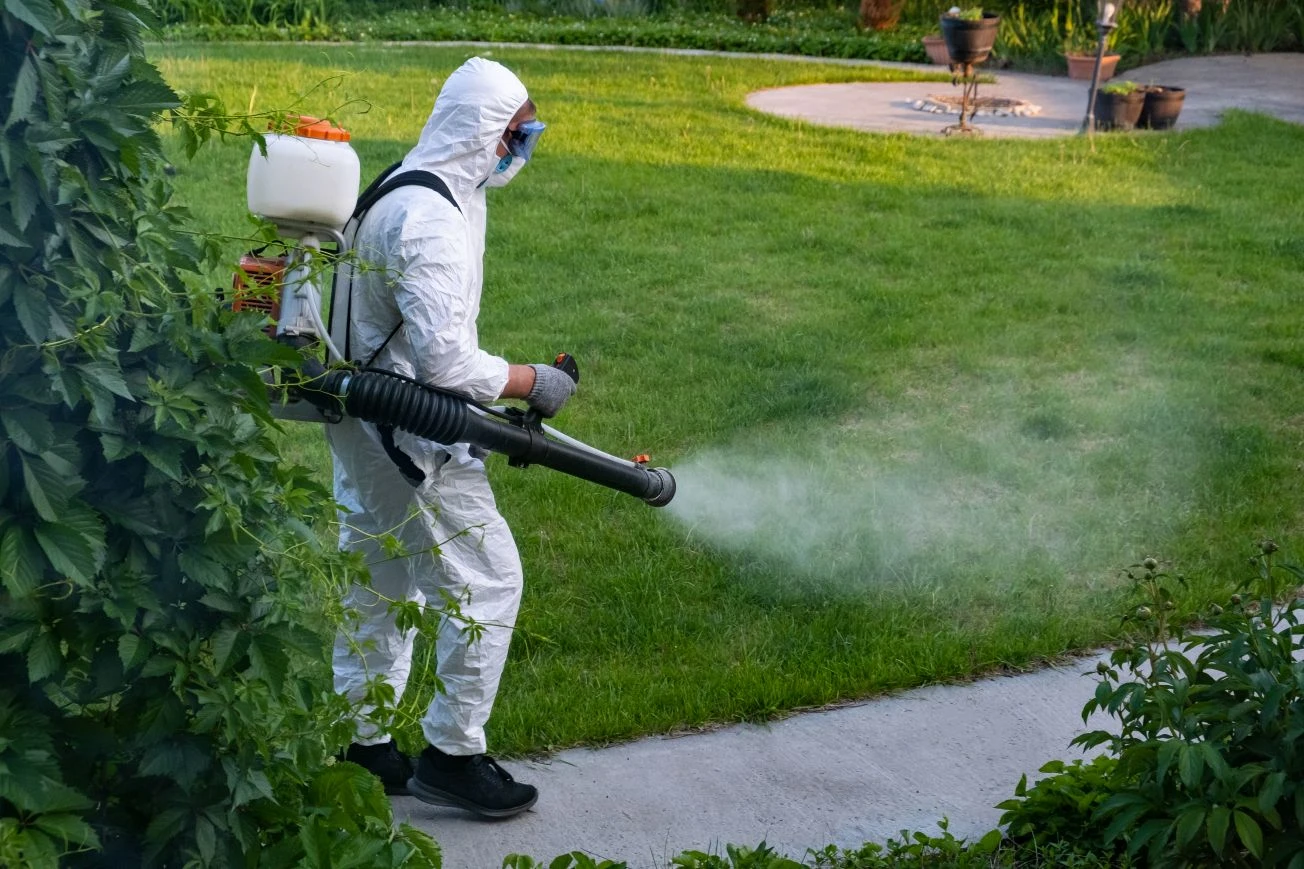 Person in protective gear sprays pesticide or disinfectant on grass in a residential garden, wearing a backpack sprayer and respirator mask.